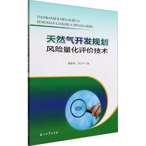 天然氣開發(fā)規(guī)劃風(fēng)險(xiǎn)量化評價(jià)技術(shù) 陸家亮,孫玉平 著 工業(yè)技術(shù)其它專業(yè)