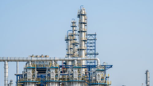 我國首次實現(xiàn)油轉(zhuǎn)化技術(shù)交流 能源領域自主創(chuàng)新邁出堅實一步